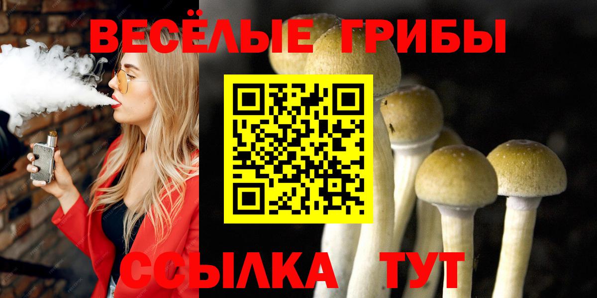 Галлюциногенные грибы Psilocybine cubensis  Вход с VPN  Бор 