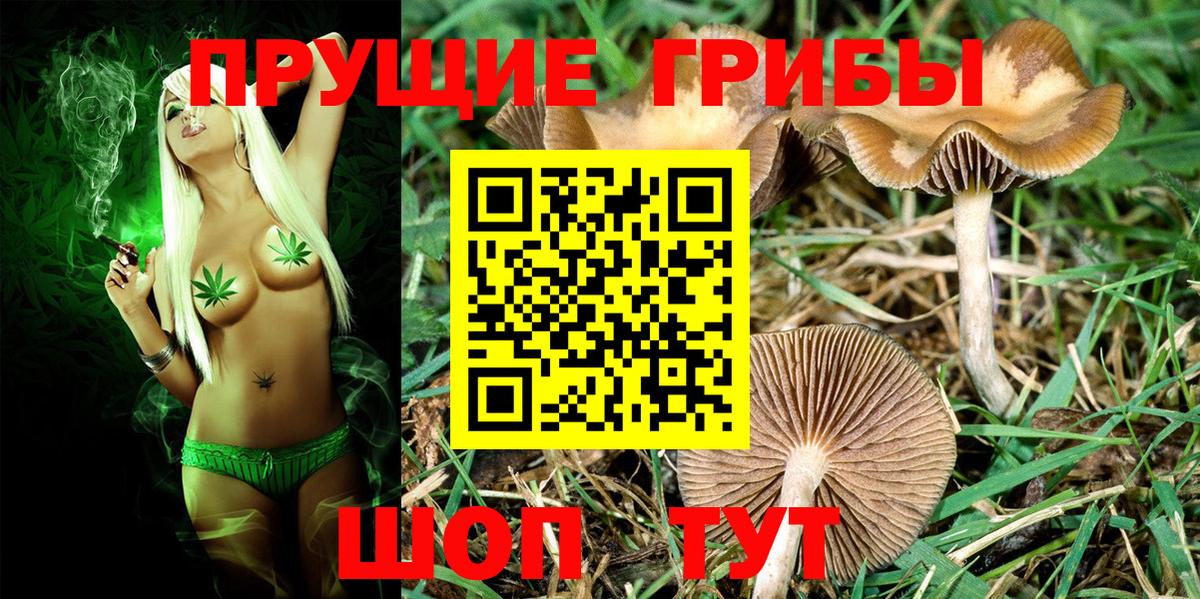 Псилоцибиновые грибы MAGIC MUSHROOMS Бор